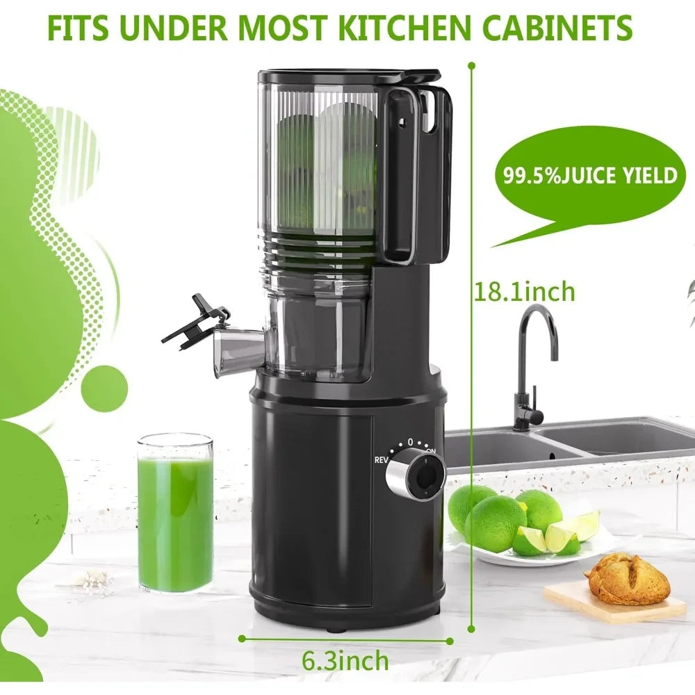 Cold Press Masticating Juicer