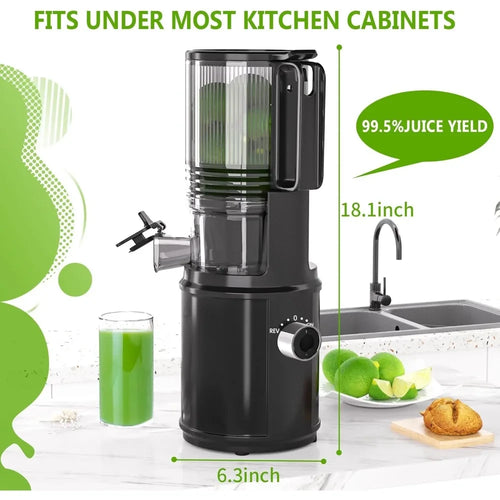 Cold Press Masticating Juicer