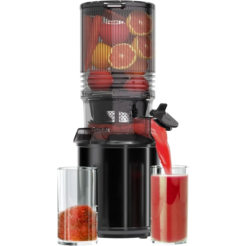 Cold Press Masticating Juicer