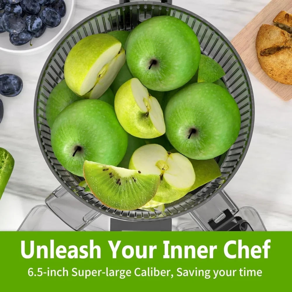 Cold Press Masticating Juicer