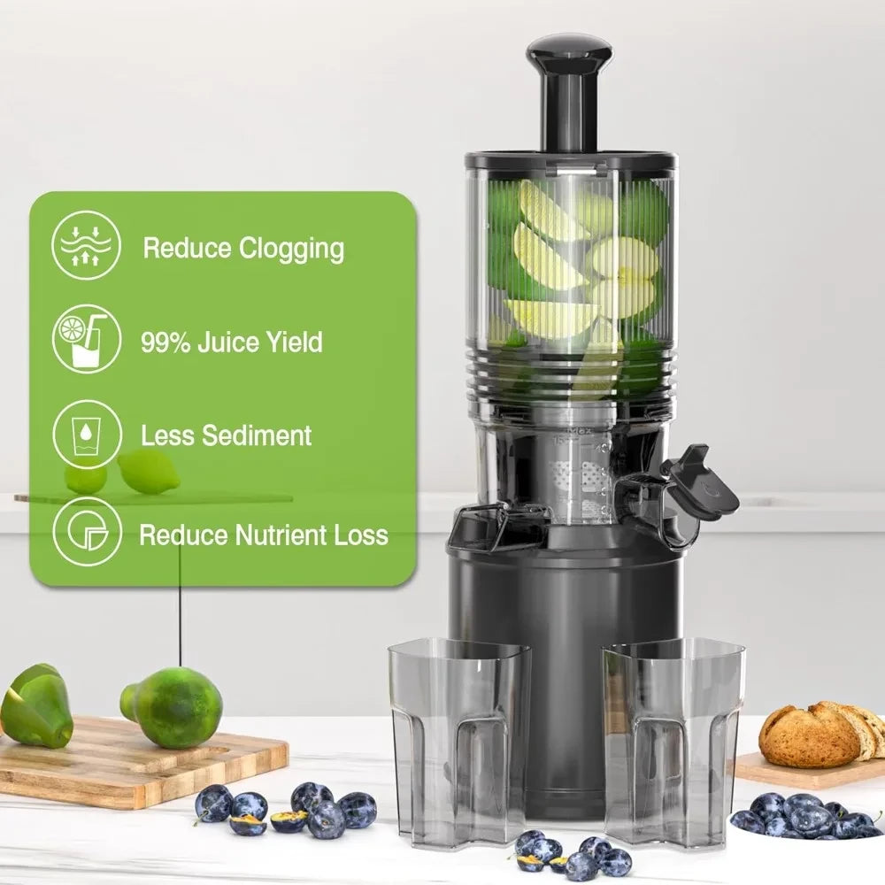 Cold Press Masticating Juicer
